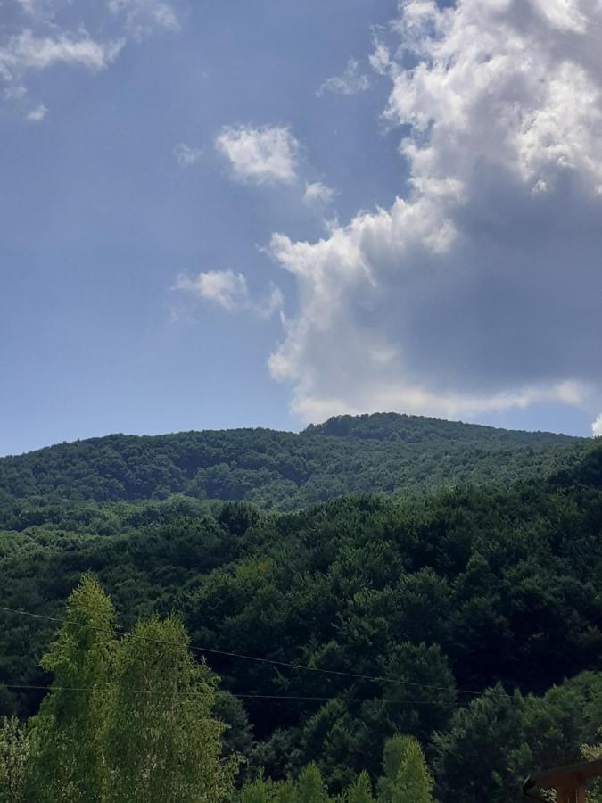 Соколів Камінь Novoselitsa  外观 照片