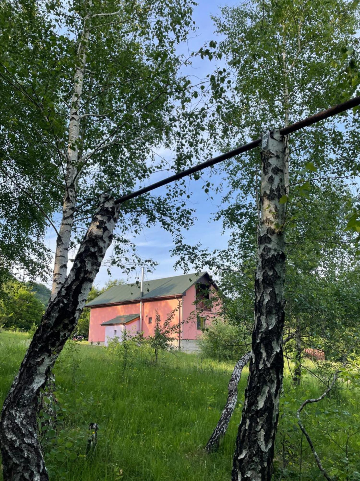 Соколів Камінь Novoselitsa  外观 照片